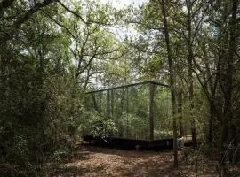Lakeside ÖÖD Mirror Cabin #2- Austin Nature Stay