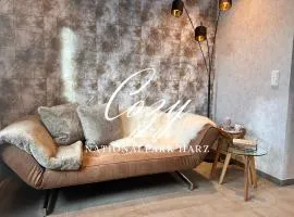 Studio Apartment Cozy mit Terrasse und Parkplatz