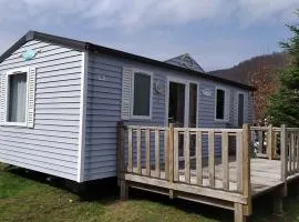 Mobil-home avec terrasse - 4 personnes à Vorey - API-1-52-291