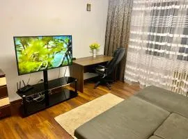 Garsoniera ultracentrală1