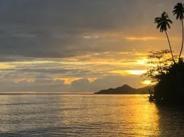Classic Fijian Home