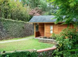 Misty Mountain Experience