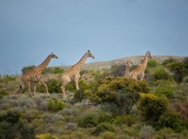 Elandspoort Private Game Reserve，位于Uniondale的山林小屋