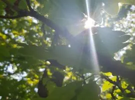 Promenade dans la Vallée de la Meuse