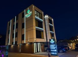 Hotel Spa Olive，位于莫斯塔尔的酒店