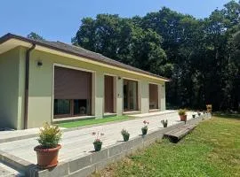 Casa verde de Lobán