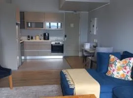 The Gallery 204 Luxury Apartment