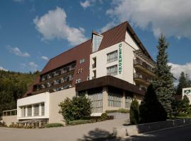 克莱蒙酒店，位于科瓦斯纳的Spa酒店