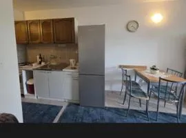 Luksuzni apartman Borna