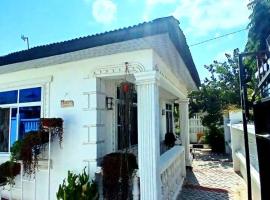 The white cottege Apartments，位于Dodoma的公寓