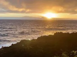 Oceanfront studio see whales and dolphins