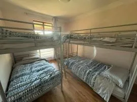 Sandy Paws and Salty Air