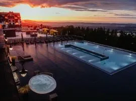 Hotel Seidorf