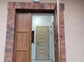 Віта Карпати