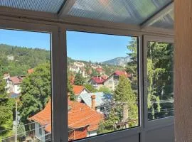 Panoramic Villa Predeal