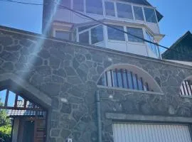 Panoramic Villa in Predeal