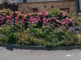 GÎTE NOTRE-DAME 3p