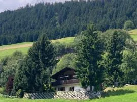 Cozy mountain retreat