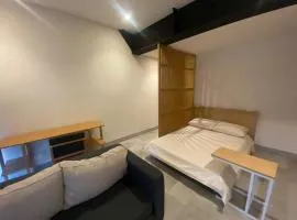 Trendy Apartment near Polanco and Condesa