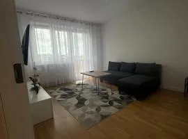Apartament Lenartowicza
