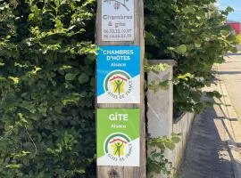 Le clos des Pommiers Fuji