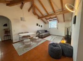 Special apartment in Ascona