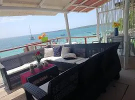 Hotel los chamos