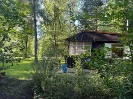 Family fishing hut
