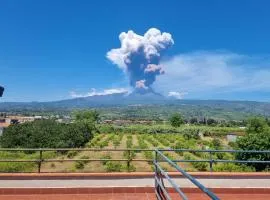 SunTan - Waves and Peaks Retreat