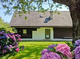 Ferienhaus Koglegg