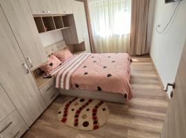 Apartament cu o cameră，位于Dorohoi的低价酒店