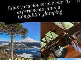 Domo conguillío glamping
