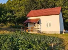 Village House