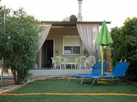 Monika's house