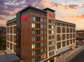 Drury Plaza Hotel Pigeon Forge，位于鸽子谷的酒店