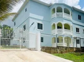 Aristo Oasis
