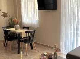 Anesis home