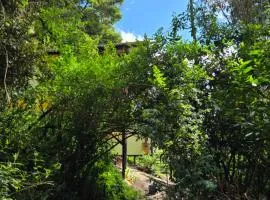 chalet de montaña