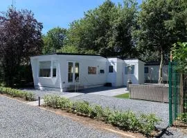 Home in the dancing forest