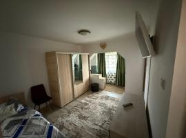 Apartament GBY，位于德罗贝塔-塞维林堡的宠物友好酒店