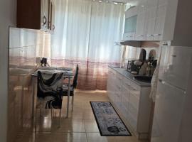 Bogdan my sun，位于加拉茨的宠物友好酒店