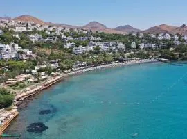 流星海滩酒店