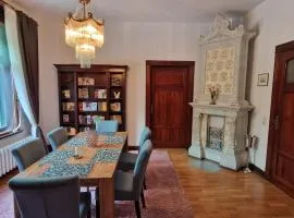 Harziano in der Kaiser-Otto-Straße - Stilvolle Gründerzeitwohnungen mit Kachelöfen, Wintergarten & viel Platz zum Entspannen