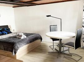 Studio Saignelégier de plain pied，位于赛尼厄莱吉耶的酒店