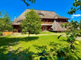 Pensiunea Iza，位于下维谢乌乡的酒店