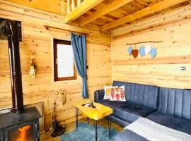 Miladi Suit Bungalov