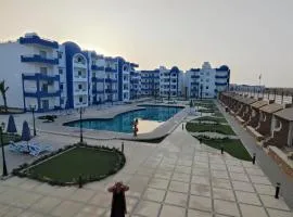 Oasis marina الاحياء