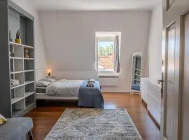 Central Castle View Apartment