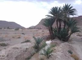 Gîte d étape Palma Eagle coin dans la kasbah