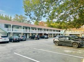 Hampton Motor Inn，位于汉普顿的酒店